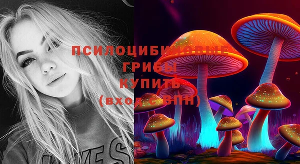 амфетамин Горнозаводск