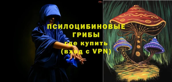 mdpv Горно-Алтайск