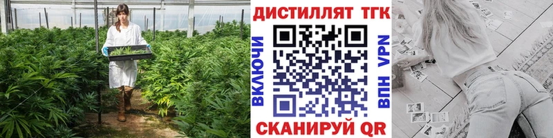 хочу наркоту  Зея  Дистиллят ТГК гашишное масло 